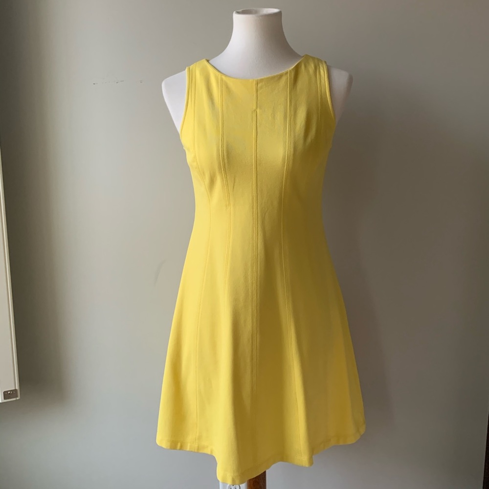 Ann Taylor Yellow Sleeveless Fit n Flare Dress Size 2P